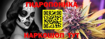 ПСИЛОЦИБИНОВЫЕ ГРИБЫ Сланцы