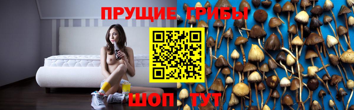 Псилоцибиновые грибы прущие грибы Нефтекумск